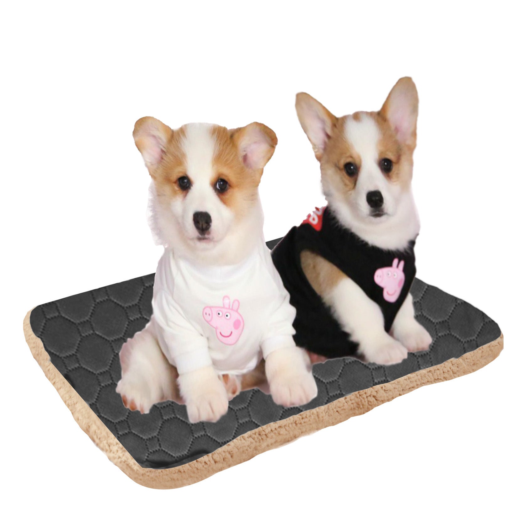 Three Layers Of Pet Mats That Quickly Absorb Sweat And Keep Warm