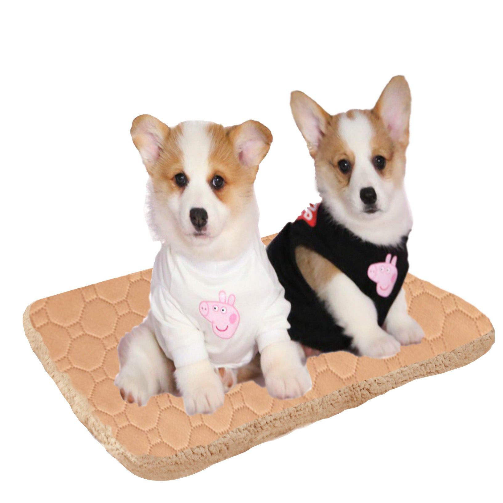 Three Layers Of Pet Mats That Quickly Absorb Sweat And Keep Warm